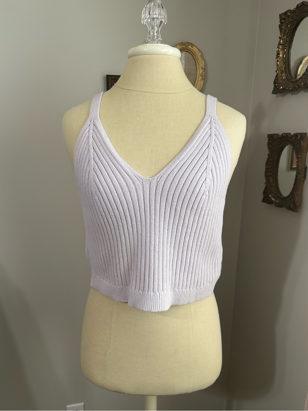 aerie Lilac Ribbed V-Neck Knit Crop Tank - Picture 2 of 6